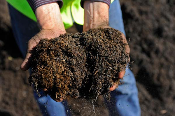 Chitwood Dirt Yard | Rock Hill, SC | landscaper holding top soil in hands