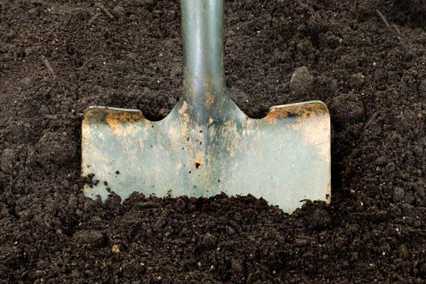Chitwood Dirt Yard | Rock Hill, SC | shovel digging up top soil
