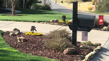 Chitwood Dirt Yard | Rock Hill, SC | beautiful landscaping around mailbox with yellow flowers and mulch