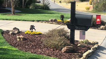 chitwood-dirt-yard-mailbox Chitwood Dirt Yard | Rock Hill, SC | beautiful landscaping around mailbox with yellow flowers and mulch